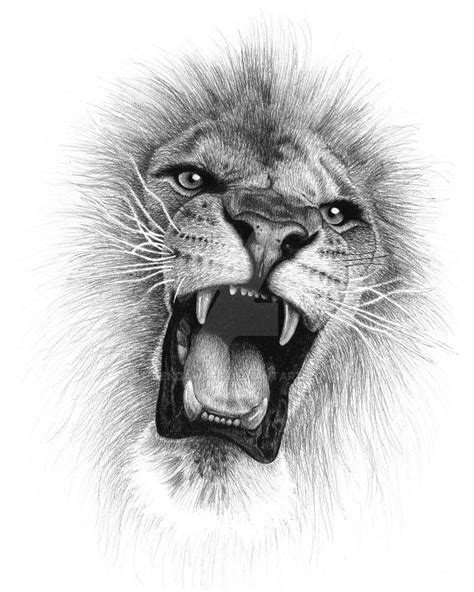 Lion Roar by jendawn77 on DeviantArt