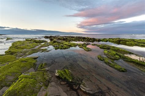 Premium Photo | The beauty of the beaches of northern spain with the moss on its rocks