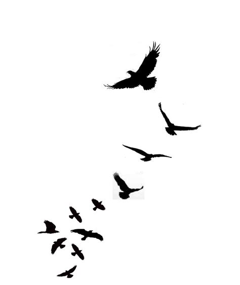 Free Silhouette Birds Tattoo, Download Free Silhouette Birds Tattoo png images, Free ClipArts on ...