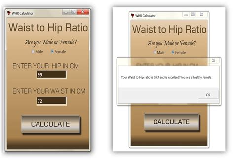 Waist to Hip Ratio Calculator | SourceCodester