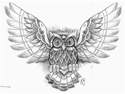 Owl Wing Drawing at GetDrawings | Free download