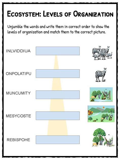 Free Ecosystem Worksheets Printable ~ Math Timed Tests Printable