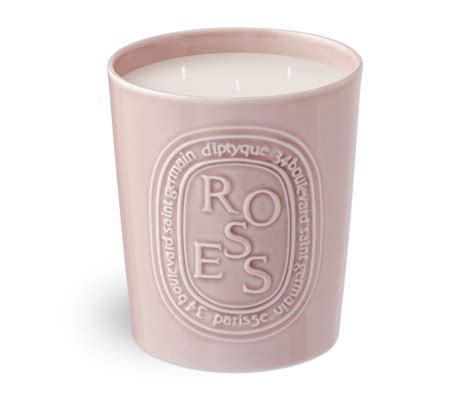 The 19 Best Diptyque Candles, Including the Best Sellers | Who What Wear