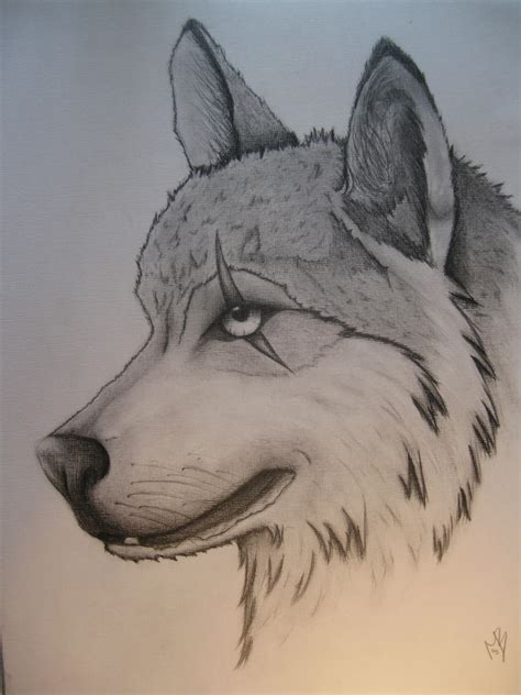 Scarred wolf by TigressDrawing on DeviantArt