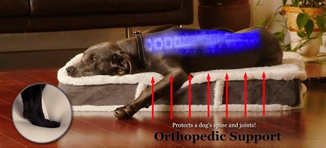 Top 10 Best Orthopedic Dog Beds Reviews in 2021