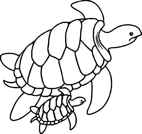 Turtle Images Drawing at GetDrawings | Free download