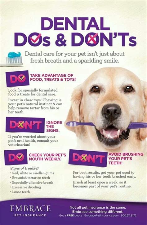 Pin by Cornerstone Animal Clinic on Veterinary Stuff / Animal Info | Pet care tips, Pet dental ...