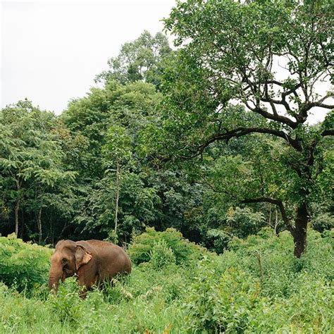 Why Visit Mondulkiri | Cambodia | Experience Travel Group