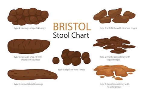 Premium Vector | Bristol stool form scale with faeces type images set ...