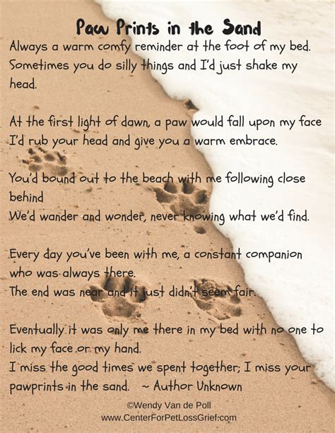 Pawprints In The Sand | Center for Pet Loss Grief