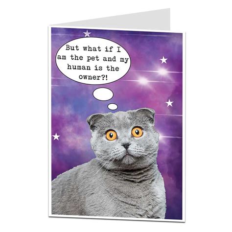 21 Best Ideas Funny Cat Birthday Card - Home, Family, Style and Art Ideas