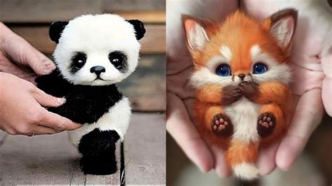 10 Cutest Baby Animals That Will Make You Go Aww Youtube - Riset