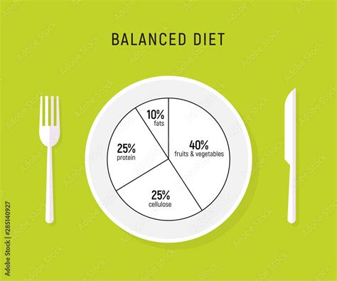 Healthy diet food, balance nutrition plate. Vector health meal chart ...