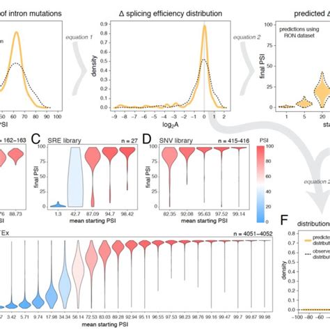 The effects of splice site mutations. | Download Scientific Diagram