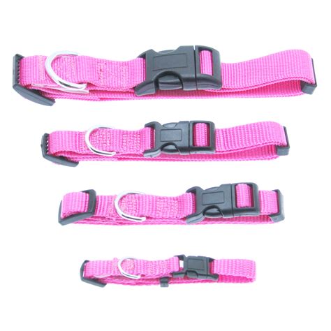 Barking Basics Dog Collar - Pink | BaxterBoo