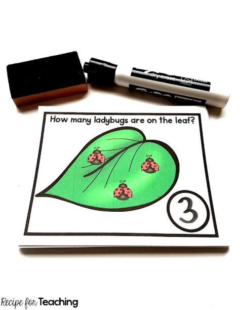 Ladybug Counting - Recipe for Teaching