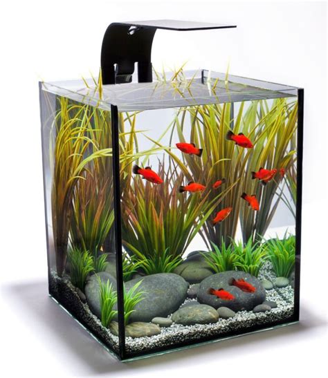 17 Pleasing Contemporary Fish Tank Ideas