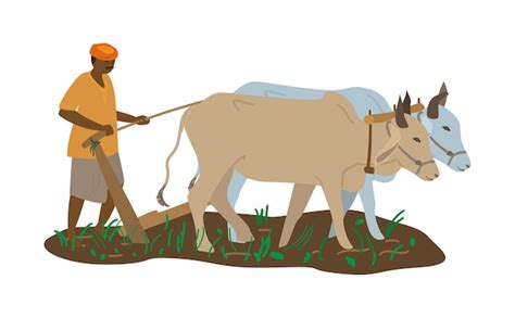 Premium Vector | Vector illustration of indian farmer in turban with pair of oxen plowing field