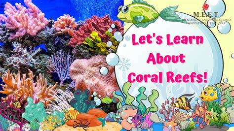 Coral Reef Pictures For Kids