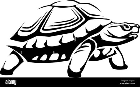 Tortoise. Black and white illustration of a tortoise isolated on a white background. Vector ...