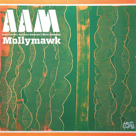 Mollymawk | AAM | Creative Sources Recordings