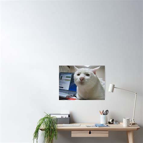 "Serious Cat Meme" Poster by FlashmanBiscuit | Redbubble