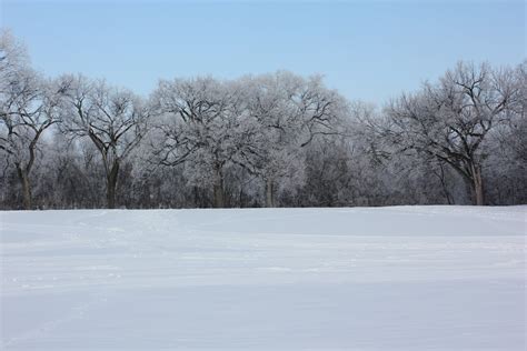 IAWP Region 12 -Western & Northern Canada: Winnipeg Winter Wonderland