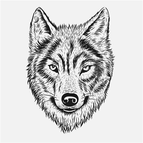 Wolf Face Vector Art, Icons, and Graphics for Free Download