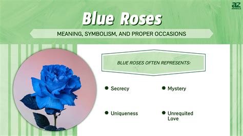 Blue Roses: Meaning, Symbolism, and Proper Occasions - A-Z Animals