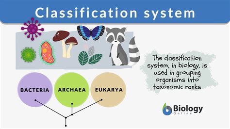 Classification system - Definition and Examples - Biology Online Dictionary