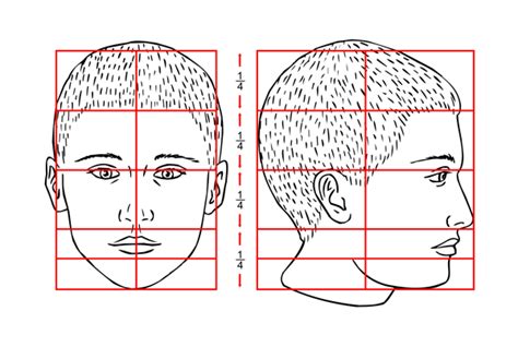 How To Draw Proportions Of The Face - Gameclass18