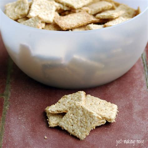 Easy Homemade Whole Grain Crackers (Soaked)