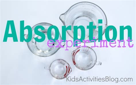 Absorption Experiment Kids Activities Blog