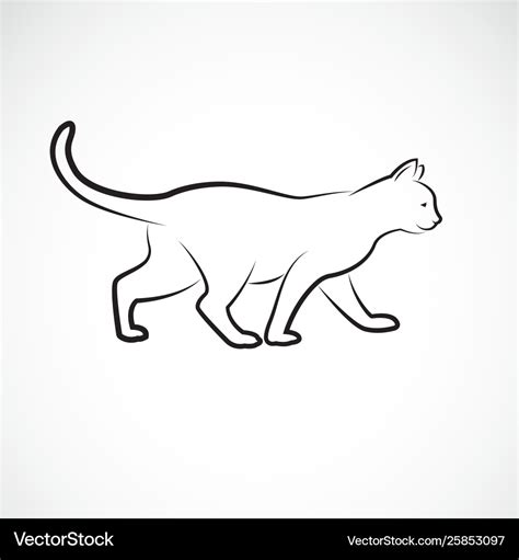 Cat walking on a white background pet animals cat Vector Image