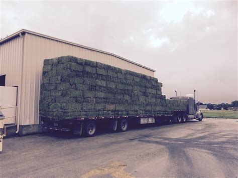 Alfalfa Bales :: New Braunfels Feed & Supply