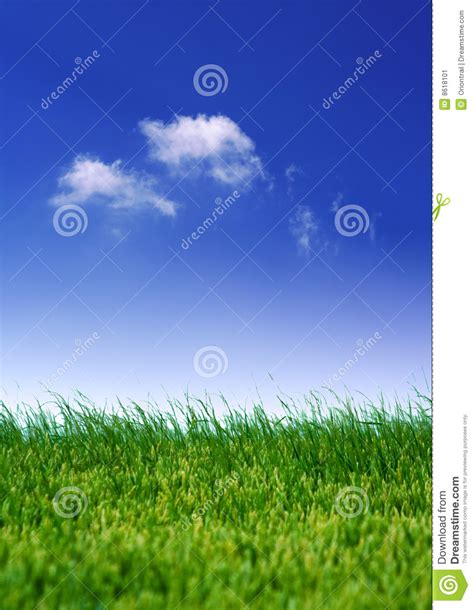 Idyllic landscape stock image. Image of plain, brightly - 8618101