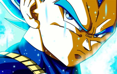 Wallpaper vegeta, Dragon ball, super saiyan blue, Dragon Ball Supuer, dragon ball super images ...