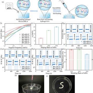 (a) Schematic diagram of the construction of the self-healing hydrogel ...