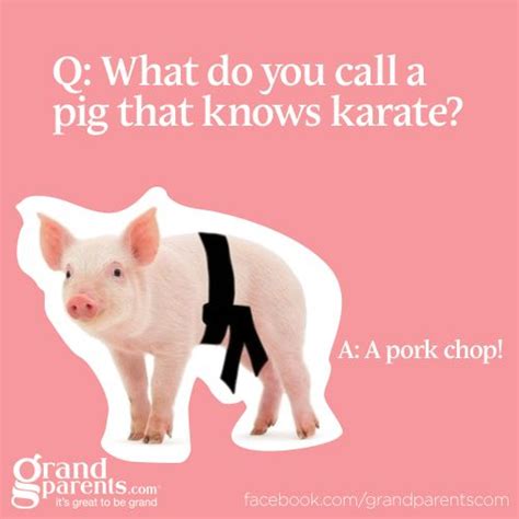 Pig Sayings Funny : Funny Pig Quotes. QuotesGram - This quotabulary ...