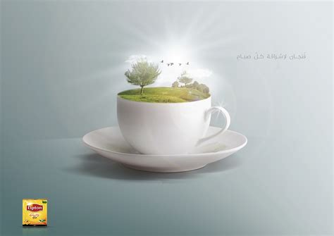 Lipton Tea Flavors on Behance