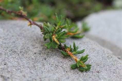 stone, Nature Wallpapers HD / Desktop and Mobile Backgrounds