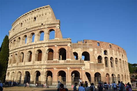 The History Blog » Blog Archive » Medieval horse skull found at Colosseum