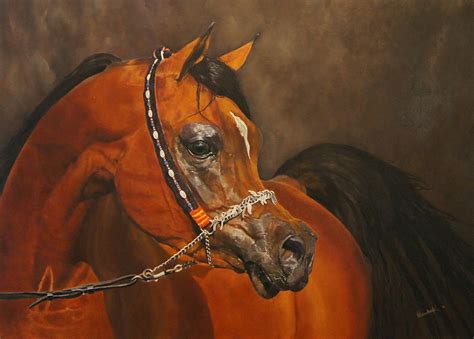 Arabian Horse Painting by Erna Goudbeek - Fine Art America