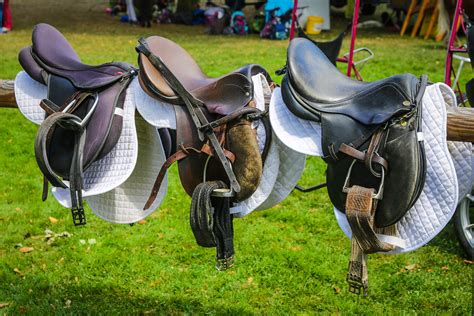 The 3 Best English Saddles: Reviews & Buying Guide - Equineigh