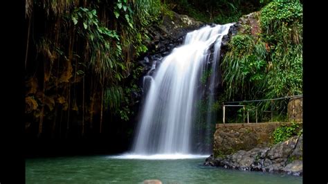 Visit to Annandale Waterfall - Grenada (View in HD) - YouTube