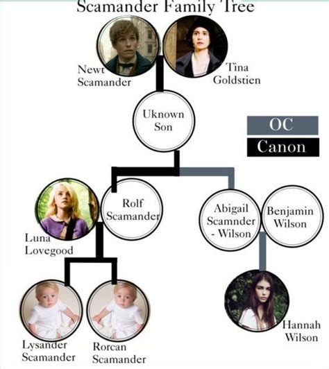 Newt Scamander Family Tree