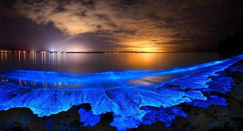 Glow in the Dark Waves: The Bioluminescent Bays of Puerto Rico ...