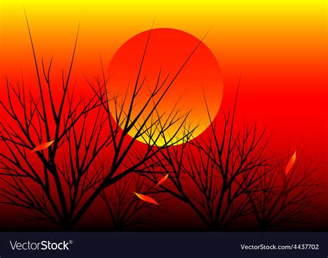 Sunset nature background Royalty Free Vector Image