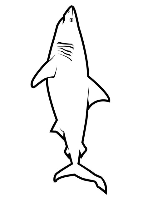 Realistic great white shark outline simple for kids Coloring Page - Free Printable Coloring Pages