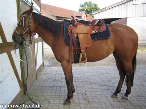 The perfect saddle fitting for your horse: Practical Help - Horseback Riding worldwide